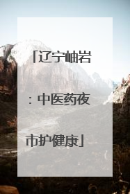 辽宁岫岩：中医药夜市护健康