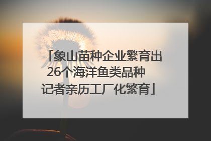 象山苗种企业繁育出26个海洋鱼类品种 记者亲历工厂化繁育