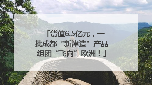 货值6.5亿元，一批成都“新津造”产品组团“飞向”欧洲！