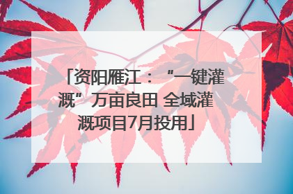 资阳雁江：“一键灌溉”万亩良田 全域灌溉项目7月投用