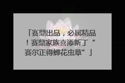 赛鼎出品，必属精品！赛鼎家族喜添新丁“赛尔正得蝉花虫草”