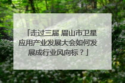 走过三届 眉山市卫星应用产业发展大会如何发展成行业风向标？
