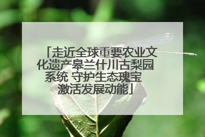 走近全球重要农业文化遗产皋兰什川古梨园系统 守护生态瑰宝 激活发展动能