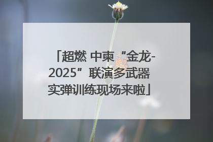 超燃 中柬“金龙-2025”联演多武器实弹训练现场来啦