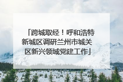 跨城取经！呼和浩特新城区调研兰州市城关区新兴领域党建工作