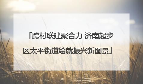 跨村联建聚合力 济南起步区太平街道绘就振兴新图景