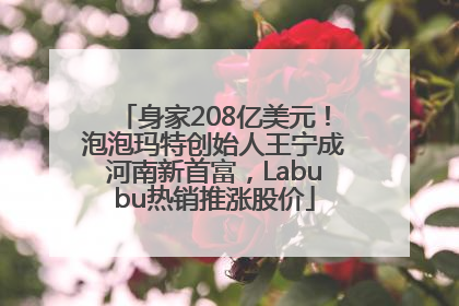 身家208亿美元！泡泡玛特创始人王宁成河南新首富，Labubu热销推涨股价