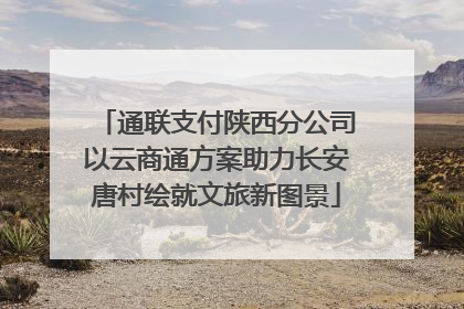 通联支付陕西分公司以云商通方案助力长安唐村绘就文旅新图景