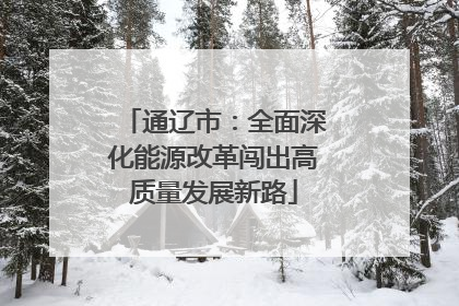 通辽市：全面深化能源改革闯出高质量发展新路