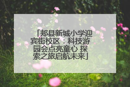 郏县新城小学迎宾街校区：科技游园会点亮童心 探索之旅启航未来