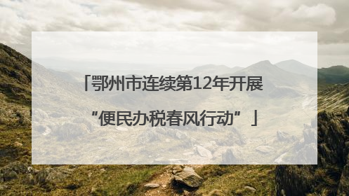 鄂州市连续第12年开展“便民办税春风行动”