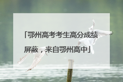 鄂州高考考生高分成绩屏蔽，来自鄂州高中