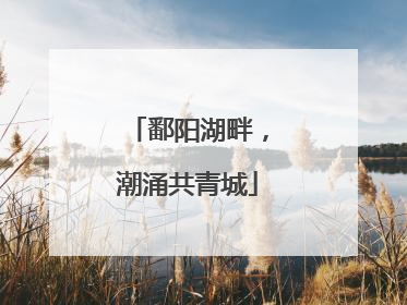鄱阳湖畔，潮涌共青城