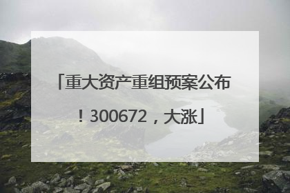 重大资产重组预案公布！300672，大涨