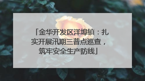 金华开发区洋埠镇：扎实开展汛期三普点巡查，筑牢安全生产防线