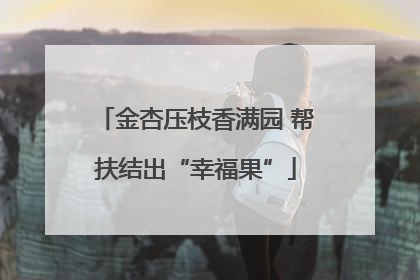 金杏压枝香满园 帮扶结出“幸福果”