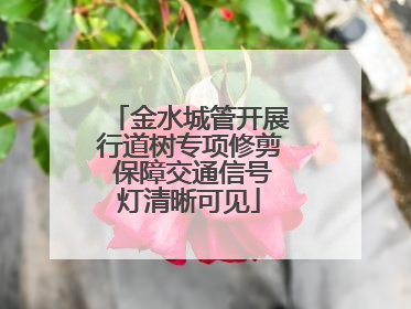 金水城管开展行道树专项修剪 保障交通信号灯清晰可见