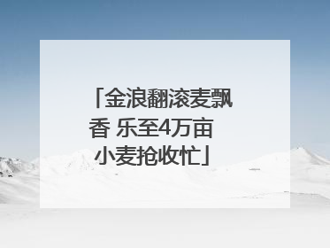 金浪翻滚麦飘香 乐至4万亩小麦抢收忙