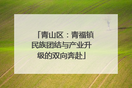 青山区：青福镇民族团结与产业升级的双向奔赴