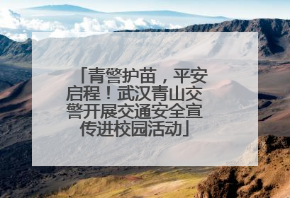 青警护苗，平安启程！武汉青山交警开展交通安全宣传进校园活动
