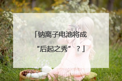 钠离子电池将成“后起之秀”？