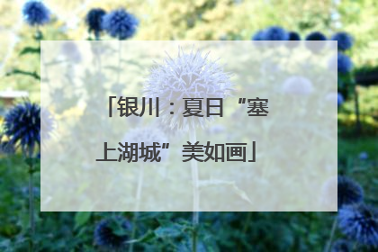 银川：夏日“塞上湖城”美如画