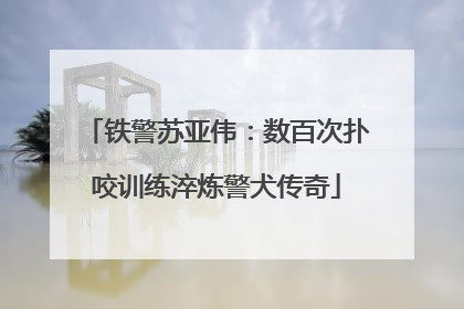 铁警苏亚伟：数百次扑咬训练淬炼警犬传奇
