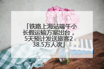 铁路上海站端午小长假运输方案出台，5天预计发送旅客238.5万人次