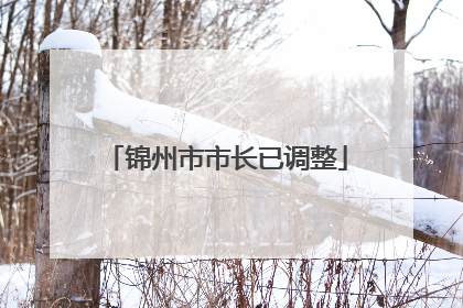 锦州市市长已调整
