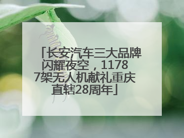 长安汽车三大品牌闪耀夜空，11787架无人机献礼重庆直辖28周年