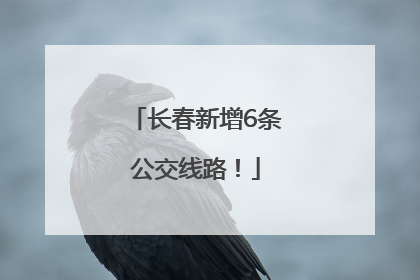 长春新增6条公交线路！