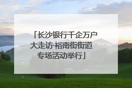 长沙银行千企万户大走访·裕南街街道专场活动举行