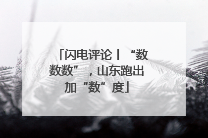 闪电评论丨“数数数”，山东跑出加“数”度