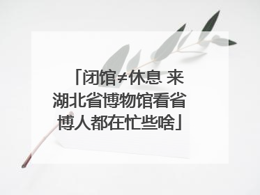 闭馆≠休息 来湖北省博物馆看省博人都在忙些啥