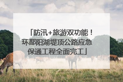 防汛+旅游双功能！环鄱阳湖堤顶公路应急保通工程全面完工