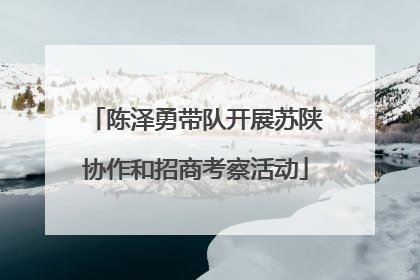 陈泽勇带队开展苏陕协作和招商考察活动