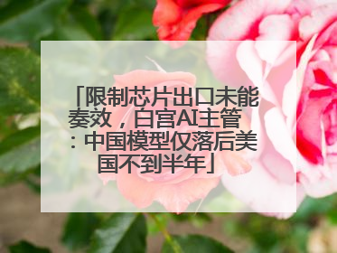 限制芯片出口未能奏效，白宫AI主管：中国模型仅落后美国不到半年
