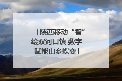陕西移动“智”绘双河口镇 数字赋能山乡蝶变