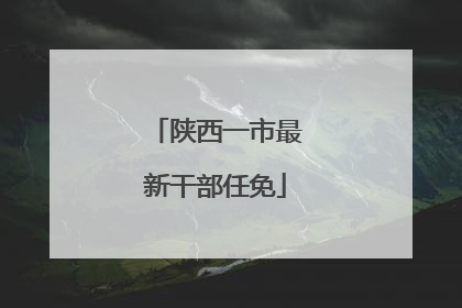 陕西一市最新干部任免