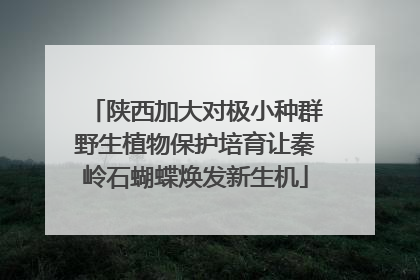 陕西加大对极小种群野生植物保护培育让秦岭石蝴蝶焕发新生机