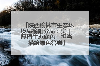 陕西榆林市生态环境局榆阳分局：实干厚植生态底色，担当描绘绿色答卷
