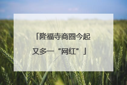 隆福寺商圈今起又多一“网红”