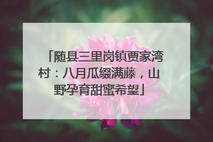 随县三里岗镇贾家湾村：八月瓜缀满藤，山野孕育甜蜜希望