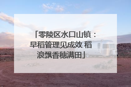 零陵区水口山镇：早稻管理见成效 稻浪飘香穗满田