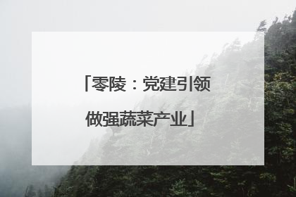零陵：党建引领 做强蔬菜产业
