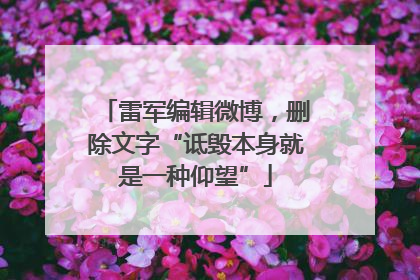 雷军编辑微博，删除文字“诋毁本身就是一种仰望”