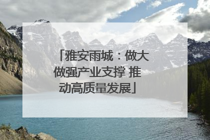 雅安雨城：做大做强产业支撑 推动高质量发展