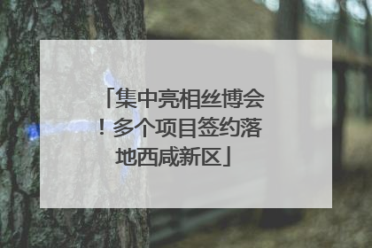 集中亮相丝博会！多个项目签约落地西咸新区