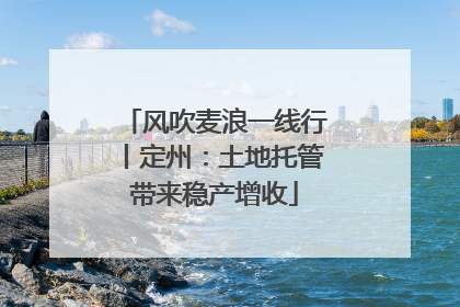风吹麦浪一线行丨定州：土地托管带来稳产增收