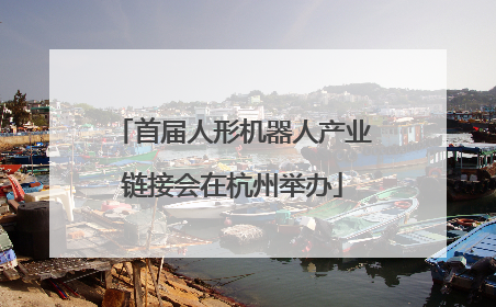 首届人形机器人产业链接会在杭州举办